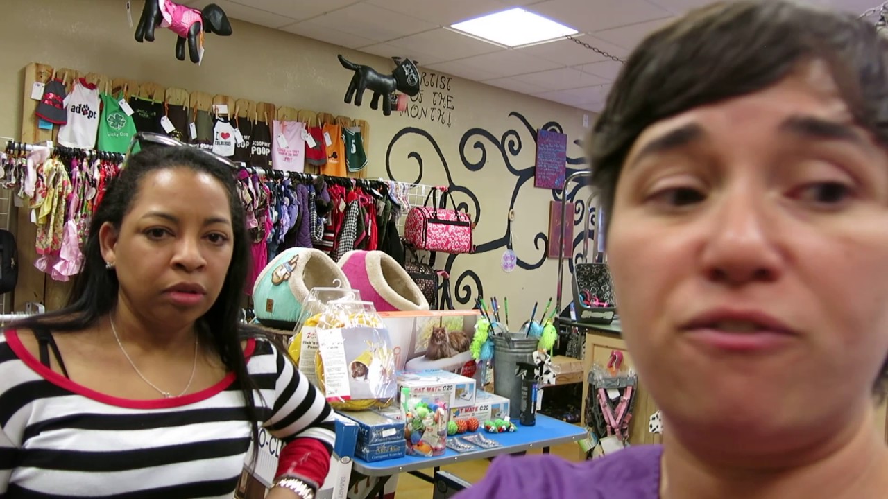 my favorite groomer clippers flea walk in client questions video 2 of 2