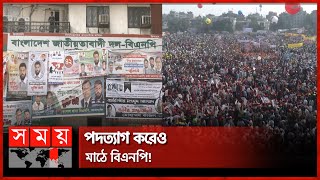ভোটের মাঠে বেনামে বিএনপি | BNP | BD Political Issues | Mirza Fakhrul Islam | Rumeen Farhana