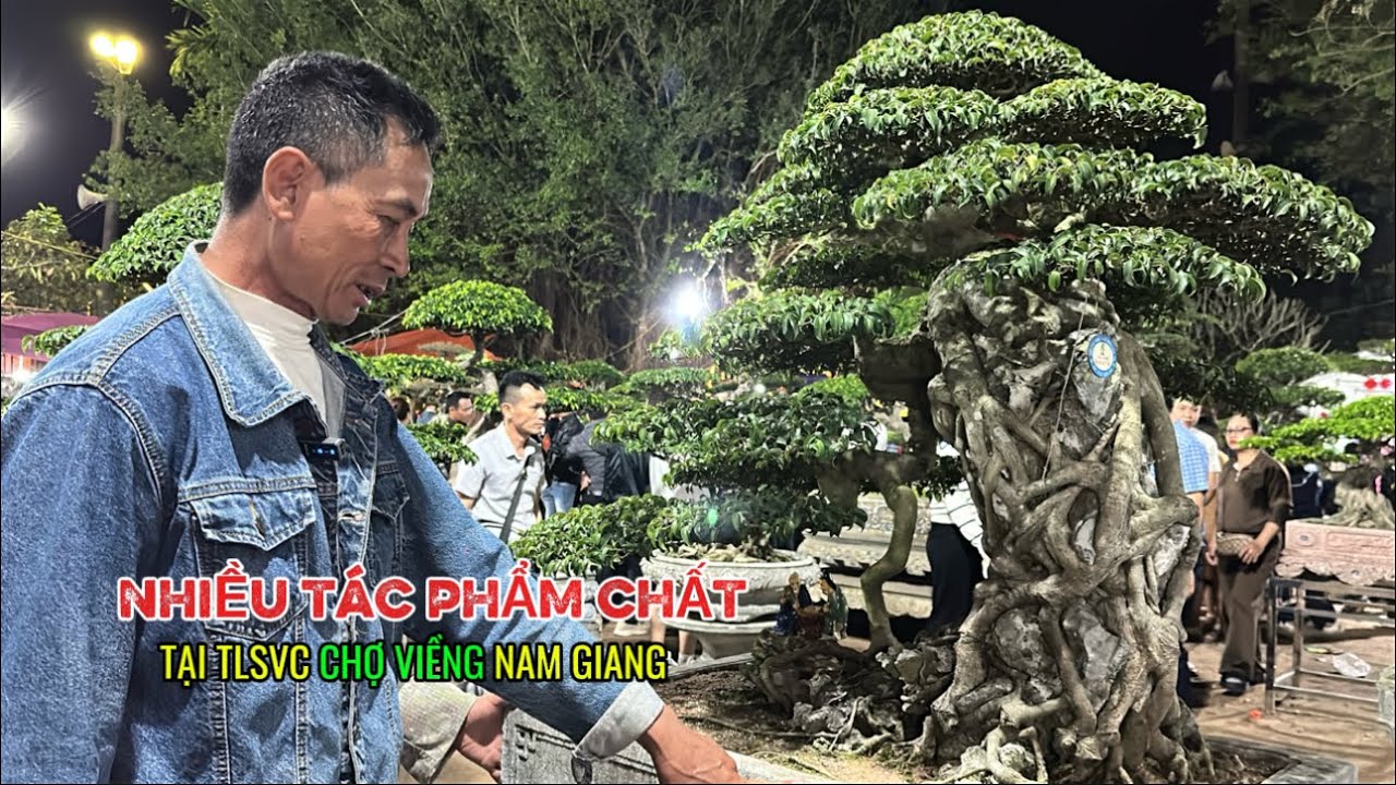 NHIỀU TP CHẤT LƯỢNG tạ TLSVC Chợ Viềng Nam Giang | Quảng Tùng