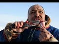 ĐỘC QUYỀN: Chăn tuần lộc và ăn thịt tuần lộc ở gần Bắc Cực