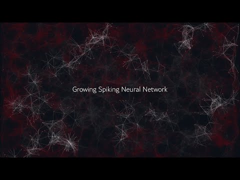 Growing Spiking Neural Network Visualization