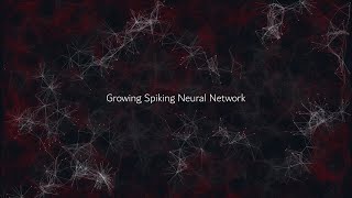 Growing Spiking Neural Network Visualization