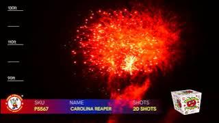 CAROLINA REAPER P5567 WINDA FIREWORKS 2022 NEW ITEMS