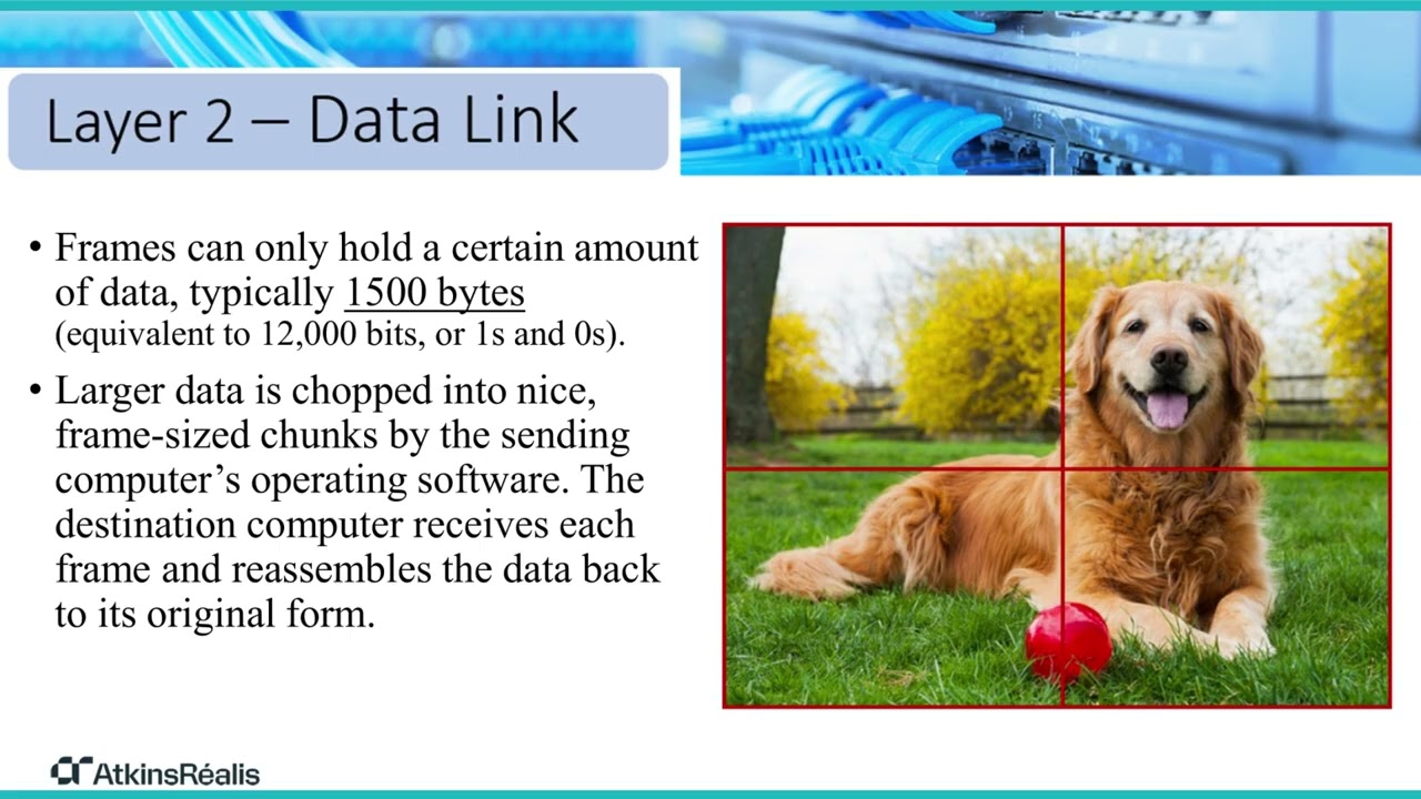 Networking 102 - OSI Model (1&2)
