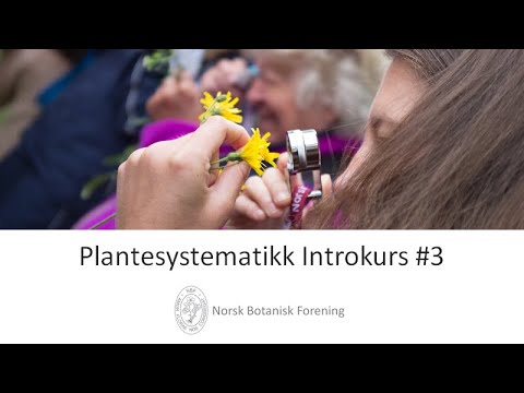 Plantesystematikk Introkurs #3 - Orkideer, siv og verdens minste blomsterplante