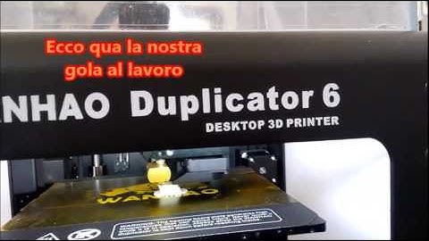 Wanhao D6