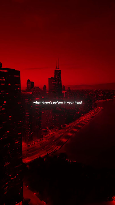 Martin Garrix & Bebe Rexha - In the Name of Love (lyrics)__ || #martingarrix  #beberexha #shorts