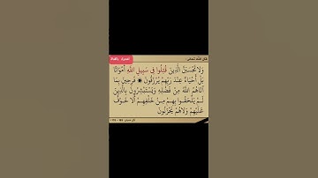 سورة آل عمران *(  ولا تحسبن الذين قتلوا في سبيل الله أمواتا بل أحياء عند ربهم يرزقون )*