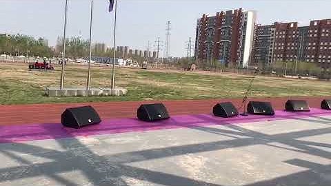 CVR Line Array Sound System