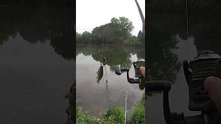 аккуратная поклёвка карася #fishing