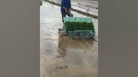 Máy cấy điện 12V Trần Đại Nghĩa - nhà nông Nguyễn Văn Lực điều khiển