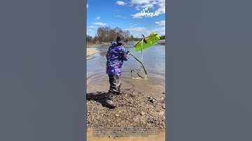 Fish catching for beginners: a simple guide to catching fish