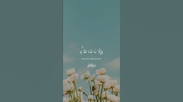 سورة الأعلى للقارئ شيخ أحمد العجمي