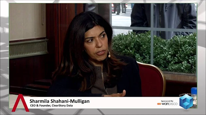 Sharmila Shahani-Mulligan - BigDataNYC 2013 - theC...