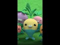Vegimals Quest For Cocoa Octonauts Above Beyond Shorts 