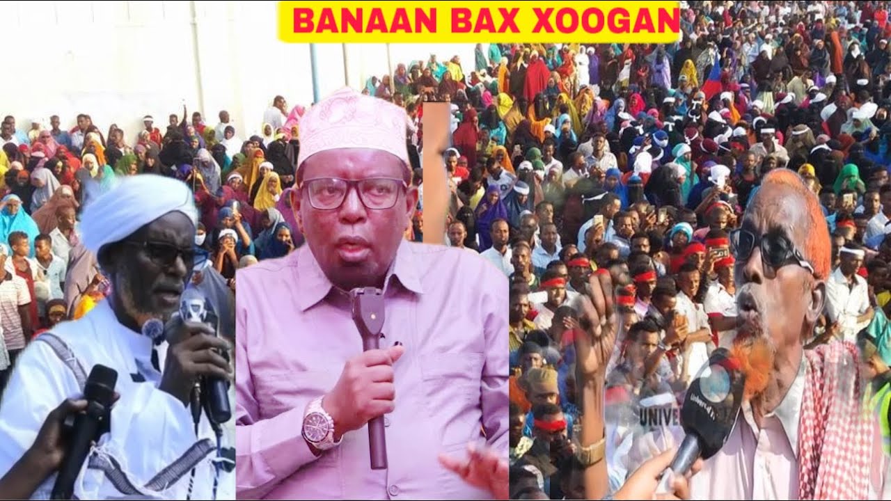 Banaan bax Somaliland looga soo horjeedo oo ruxay muqdisho Culumada Habaaray Cirro,Farmaajo oo si ad