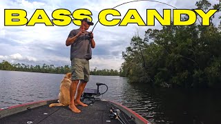THIS is the BEST SUMMERTIME Bass Fishing Lure!