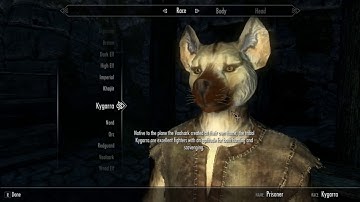 Skyrim SE Test: Kygarra and Vaalsark Custom Race Mod for 2011 Skyrim