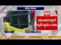 Third Cheetah Trapped on Tirumala Alipiri Road Raises Concerns