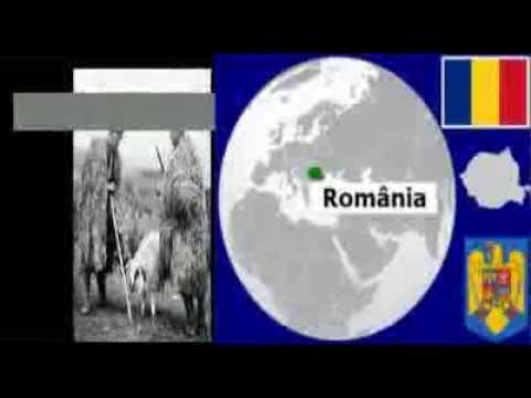 પર્વતો સંગીત - Romanian Carpathians - Sârbă ciobănească
