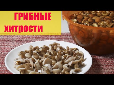 МАСЛЯТА - КАК БЫСТРО ПОЧИСТИТЬ И ПРАВИЛЬНО ВАРИТЬ СВЕЖИЕ МАСЛЯТА