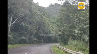 The Little Baguio Of Quezon Province