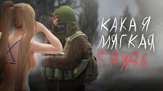:  *     DayZ [STALKER RP]