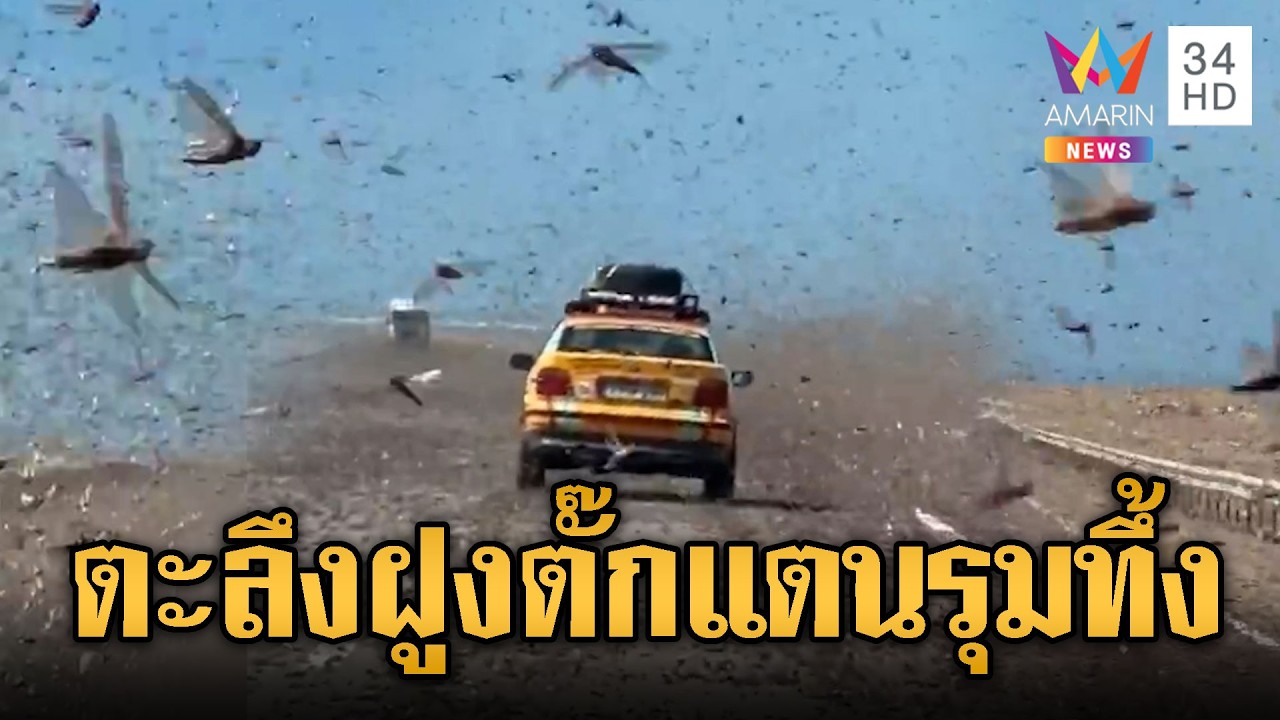 ขับรถฝ่าฝูงตั๊กแตนระบาดกลางทะเลทรายโมร็อกโก | ข่าวอรุณอมรินทร์ | 27/02/69