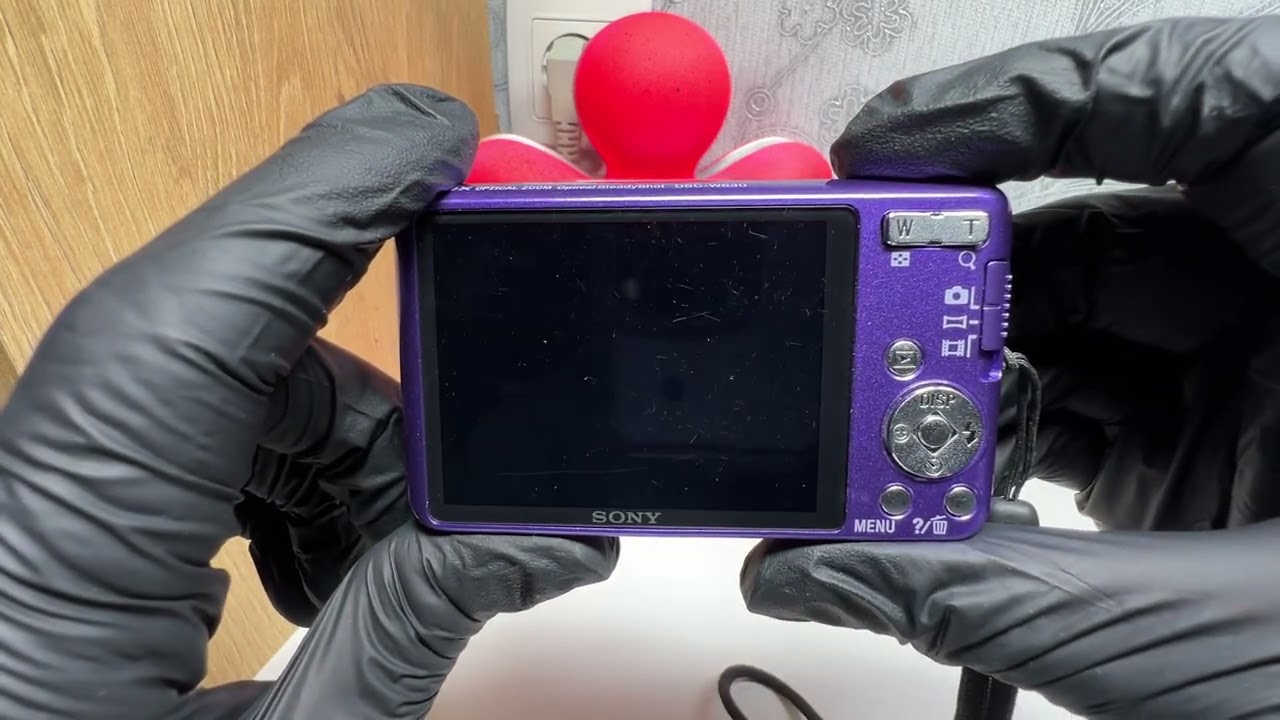Sony Cyber-SHOT DSC-W630 16.1MP Digital Camera 5x Zoom - PURPLE