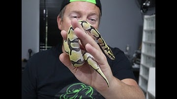 Unveiling Our Desert Ghost Project