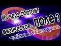 Из чего состоит поле ?