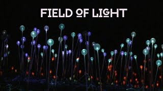 Bruce Munro brings Field of Light to Green Mountain Falls
