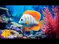Aquarium 4k ultra  beautiful coral reef fish  relaxing sleep meditation music 90