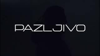 VASA - PAZLJIVO REMIX (LYRICS VIDEO)