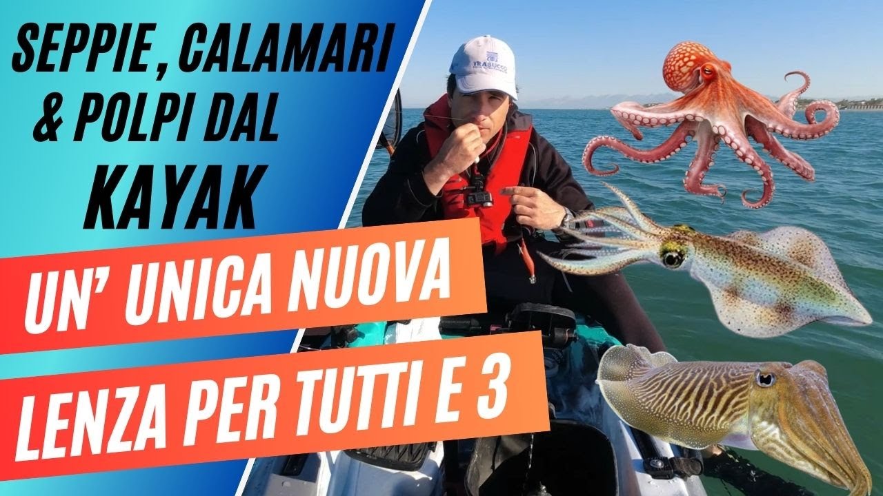 LENZA GIUSTA = PIOGGIA DI SEPPIE ! ma anche, calamari e polpi DAL KAYAK!