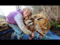 My Teenager Built a Waterwheel (After Surgery)
