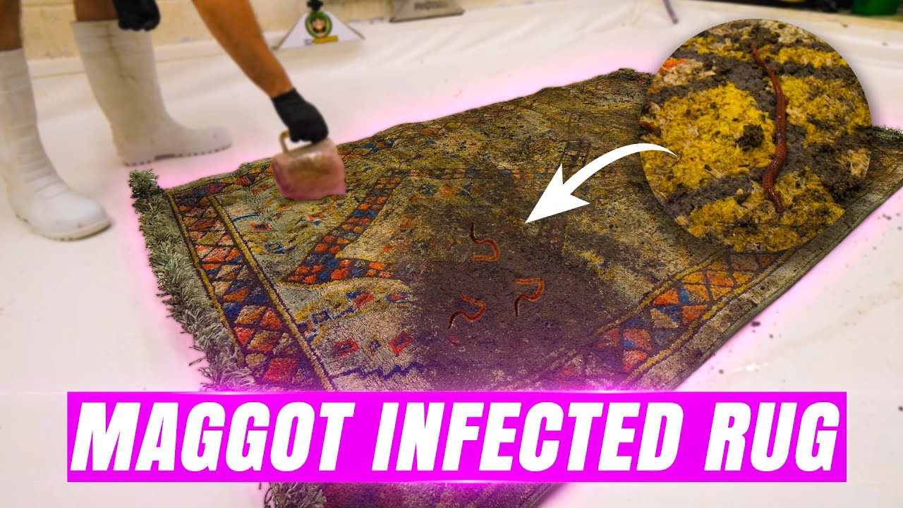 This Rug Looked Rotten… Until I Revealed Its True Colors - YouTube