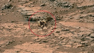 Mars perseverance Rover Captured a New 4k Stunning Video Footage of Mars Surface|| Mars in 4k||