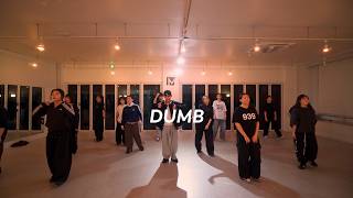 Noga Erez - Dumb / Z