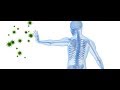 Structure and Functions of the Immune System