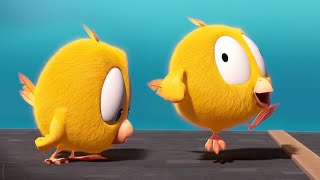 El nuevo juguete | ¿Dónde está Chicky? | Pollito pio | Colección dibujos animados para Niños