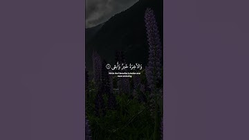 بل تؤثرون الحياة الدنيا | القارئ عبد الرحمن مسعد | قرآن كريم ..♡