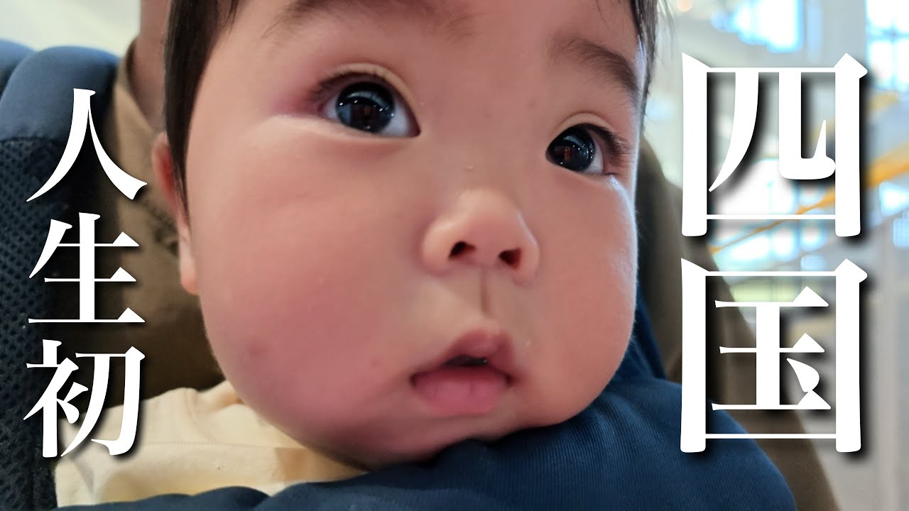 0歳男、四国初上陸!!5歳息子の夢叶えるために本気の虫取り旅!!
