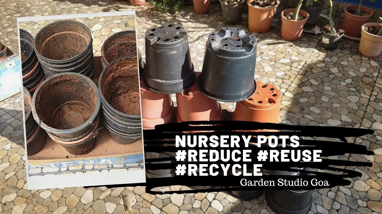 Garden Studio Goa Nursery Pots Reduce Reuse Recycle Herbal Plant Power