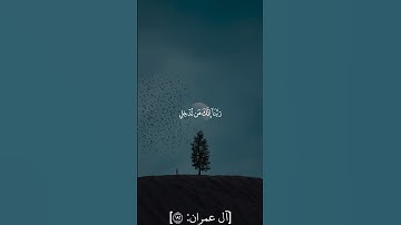 تلاوة طيبة للشيخ عبدالله خياط#quran
