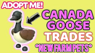 Trading Canada Goose in Adopt Me!