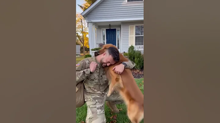 Long time no see my dog