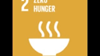 CIP  Commitment to SDG2 English