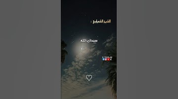 اهم الاذكار | الشيخ الشعراوي #اذكار #حالات_واتس #الشعراوي