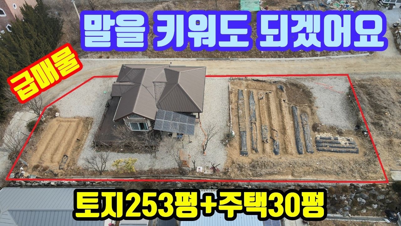 [2043] 터가 넓은 숲세권 집이 급매로 나왔어요. 강화도 전원주택. 강화도 토지. 강화도땅은 강화도전문부동산 평강부동산TV.